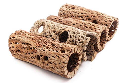 3 to 48 Inch All Natural Teddy Bear Cholla Wood Extra Hollow Large Untreated Organic Aquarium Driftwood Decoration Chew Toy Shrimp Crab Multi-Quantity (4 Pieces, 6 inch) - size: 4 Pieces, 6 inch