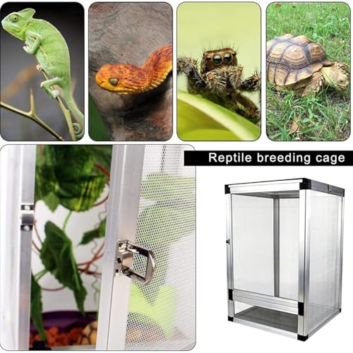 Insect Breeding Box Reptile Habitat Screen Feeding Cage Insect Box Aluminum Reptile Container(Silver) - color: Silver