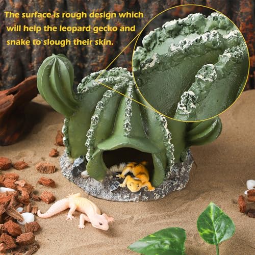 IBWell Resin Cactus Leopard Gecko Hide Reptile Cave，Desert Terrarium Décor，Bearded Dragon Hideout, Small Reptile Hide