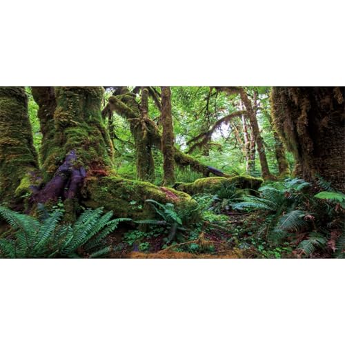 AWERT 36x24 inches Tropical Forest Terrarium Background Green Huge Tree Reptile Habitat Background Rainforest Aquarium Background Durable Polyester Background - size: 36x24in/90x60cm