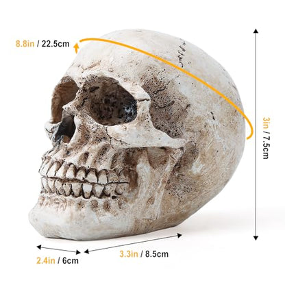 Skull Decor, Resin Realistic Skeleton Head Statue for Halloween, Fake Human Bone Skull Model for Halloween Decoration, Home, Party, Table, Bookshelf