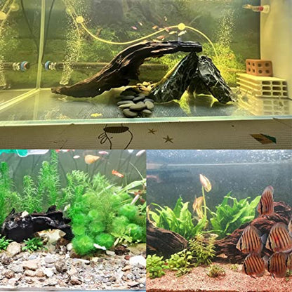 Tfwadmx Natural Driftwood Aquarium Decor Wood Branches, 3 Pieces 7-9.5" Fish Tank Driftwood Decoration, Terrarium Mopani Wood for Aquarium Freshwater Reptile Tank - size: Medium: 7-9.5"（3Pcs）