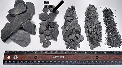 Natural Slate Stone -1/2 to 1 inch. Perfect Size for Miniature or Fairy Gardens, Aquariums, Reptiles, Terrariums, Model Railroads, Dioramas & Wargaming (1lb Grey) - style: 1lb grey