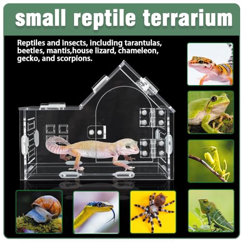 Acrylic Jumping Spider Enclosure House-Shaped Terrarium | Clear 360° view tank, magnetic door & top feeding port, 1mm vents, for mantis, tarantula, gecko & small insects - color: Transparency