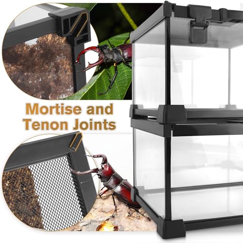 12"x8"x8" Reptile Terrarium, Escape-Proof Glass Terrestrial Vivarium for Hatchling Snakes Such as Corn Snakes, with Escape-Proof Lock & Feeding Hatch - size: 12"D x 8"W x 8"H