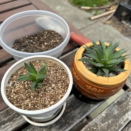 1lbs/2lbs Horticultural Vermiculite Bulk,Organic Vermiculite for Plants,Hydroponics, Terrariums, Orchids, Mushroom Or Reptile Habitats (2lb) - size: 2lb