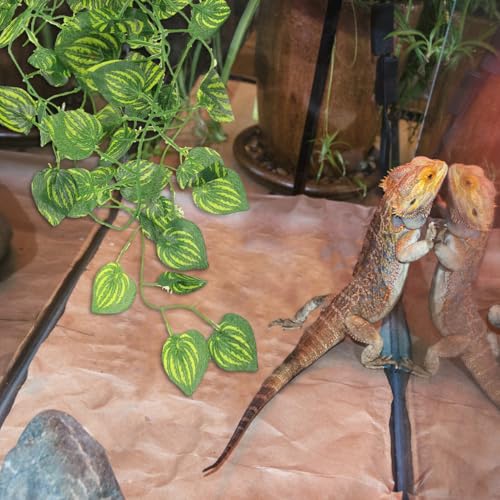Reptile Fake Plants Terrarium Decor with Suction Cup Lifelike Simulated Vine Plant for Gecko Turtle Aquarium Habitat Decoration