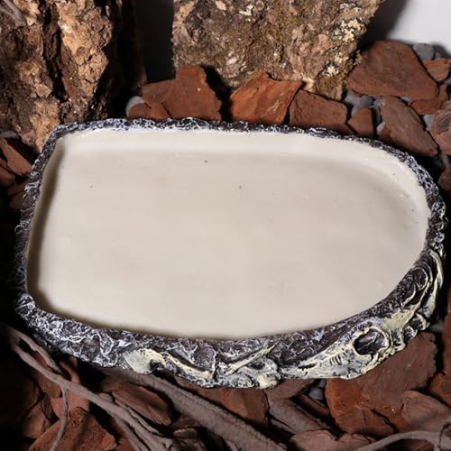 Tfwadmx Reptile Water Bowl, Reptile Feeding Dish, Bearded Dragon Water Dish, Turtle Feeding Bowl for Tortoises, Snakes, Lizards, Geckos, Chameleons - color: Bowl-1Pcs