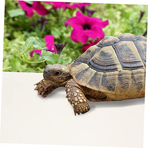 Leopard Gecko Tank Reptile Bedding Terrarium Carpet Snake Terrarium Bedding Bearded Dragon Accessories - color: White