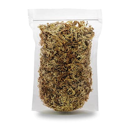 GARDENERA Premium Sphagnum Moss - Organic Hand Mixed New Zealand Long Fibered Sphagnum Moss Orchid - 5 Quart Bag - size: 5 QUART