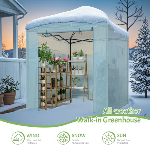 Greesum 8x6 FT Portable Pop-up Greenhouse with Center Lock, PE Cover, Zippered Door and 2 Roll-up Windows, Easy Assemble(Green) - style: 8X6 FT