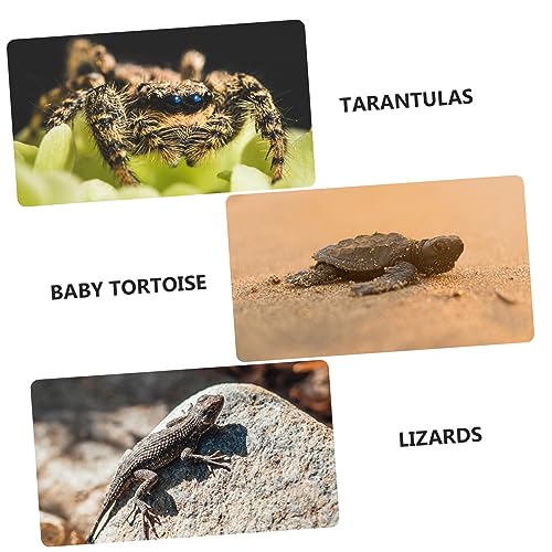 BESPORTBLE Turtle Basking Platform with Adjustable Height Realistic for Aquatic Turtles Easy to Install Floating Island Terrarium Decoration