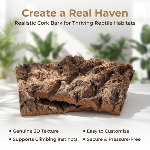 4pcs Cork Terrarium Background: 7.7x5.8x0.4Inch Natural Bark Backdrop Reptile Climbing Mat - Habitat Decoration for Lizard Turtle Bearded Dragon Snake