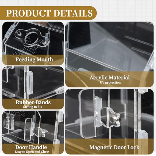 Acrylic Jumping Spider Habitat, Reptile Terrarium Easy Assembly, Bug Enclosure, Praying Mantis Habitat, Frog Enclosure (Small-6.3 * 4.7 * 6.7in) - size: Small-6.3*4.7*6.7in