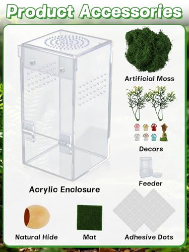 Escape Proof Jumping Spider Enclosure, Tarantula Terrarium Accessories Kit | MADHOLLY One-Piece, No Assembly Required, with Magnetic Door, Micro Vent Holes, DIY Decors, for Mantises/Insects, 3x3x6in
