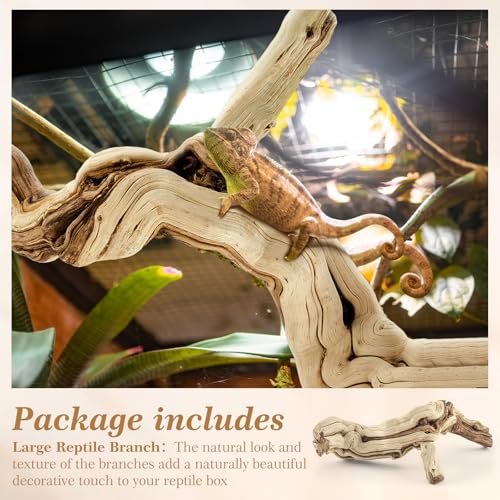 Janinka 18-20" Length Large Wood Reptile Branch for Bearded Dragon Driftwood Reptile Climbing Habitat Decoration for Terrarium Tree Trunk Ornament Gecko Frog Chameleon Spider - size: 18-20"