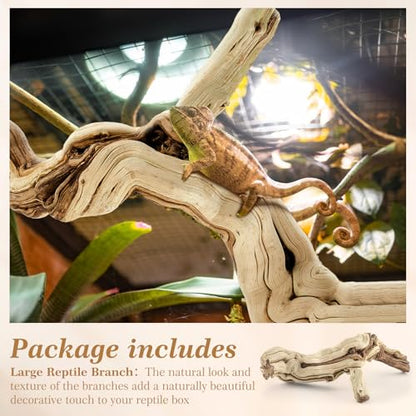 Janinka 14-17" Length Large Wood Reptile Branch for Bearded Dragon Driftwood Reptile Climbing Habitat Decoration for Terrarium Tree Trunk Ornament Gecko Frog Chameleon Spider - size: 14-17"