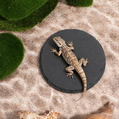 Slate for Reptiles Reptile Basking Platform 3.9Inch Turtle Basking Platform Bearded Dragon Slate Basking-Platforms Bearded Dragon Accessories for Lizards, Chameleons, Geckos, Turtles, Reptile