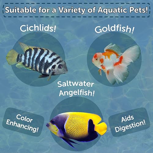 Brine Shrimp, Freeze Dried Floating Brine Cubes for Cichlids, Discus, Tetras, Goldfish, Bettas, Angels, Marines, All Tropical Fish, Aquatic Turtles 0.6oz Canister