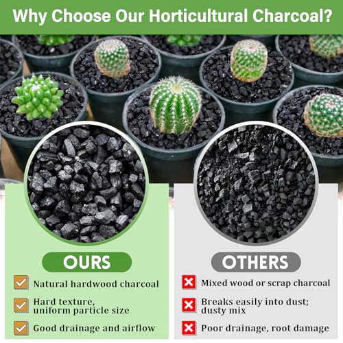Legigo 2 QT Horticultural Charcoal & 4 Pack Organic Coco Coir Bricks- Soil Amendment Plant Potting Mix, Ideal for Orchids, Succulents, Terrariums, Indoor & Outdoor Gardening