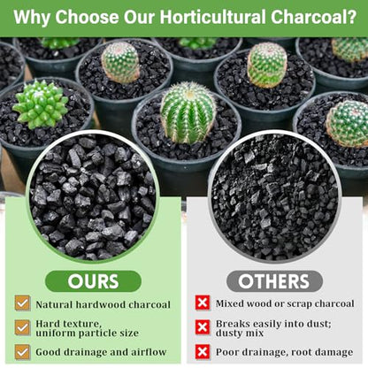 Legigo 2 QT Horticultural Charcoal & 4 Pack Organic Coco Coir Bricks- Soil Amendment Plant Potting Mix, Ideal for Orchids, Succulents, Terrariums, Indoor & Outdoor Gardening
