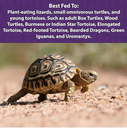 Mazuri | Juvenile Tortoise Food for Baby Tortoises | 8 Ounce (8 oz) Bag (Pack of 2)