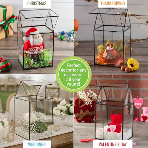 D'Eco Glass Geometric Centerpiece (6x5x11) - Planter Terrarium - Spring Home Decor & Wedding Letterbox - Fill with Succulents, Cacti, Air Plants, Moss, Flowers for Plant Lovers