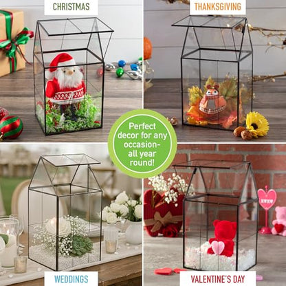 D'Eco Glass Geometric Centerpiece (6x5x11) - Planter Terrarium - Spring Home Decor & Wedding Letterbox - Fill with Succulents, Cacti, Air Plants, Moss, Flowers for Plant Lovers