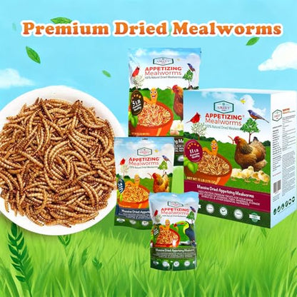 Amzey Dried Mealworms 11 LBS - 100% Natural for Chicken Feed, Bird Food, Fish Food, Turtle Food, Duck Food, Reptile Food, Non-GMO, No Preservatives, High Protein and Nutrition - size: 11 Pound (Pack of 1)