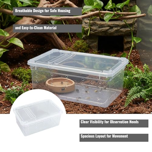 Reptile Terrarium with Ventilation for Small Animal Housing and Habitat - size: 19x12.5x7.5 cm