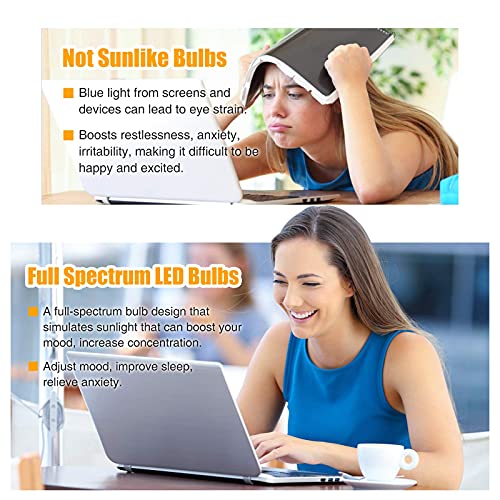 Full Spectrum Light Bulb, 6000K Natural Sunlight Bulbs, 9W 60W Equivalent LED Light Bulb, Natural Light Bulbs A19, E26/E27 LED Light Bulbs for Home, 3 Pack - color: 6000k Daylight, size: 3 Count (Pack of 1)