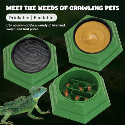Reptile Feeder Bowl Worm Dish Anti-Escape Food Dish Bowl with 2PCS Feeding Box, Food Water Feeder for Crested Gecko Lizard Chameleon Pets, Reptile Terrarium Tank Accessories (M) - size: M