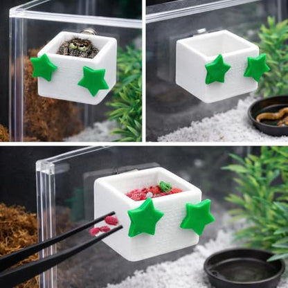 3 Pcs Magnetic Jumping Spider Feeding Dish Jumping Spider Enclosure Accessories Star-Shaped Design Reptile Water Bowl for Other Small Reptiles or Insects (White+Green) - color: White+Green