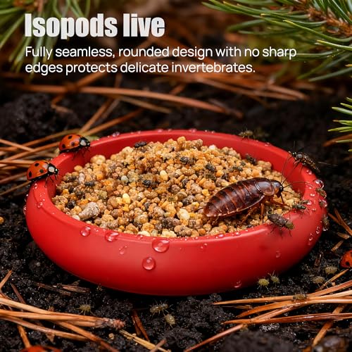 12-Pack Small Feeding Dish for Reptiles, Colorful Feeder Bowls for Isopods, Springtails, Dubia Roaches & Dwarf Invertebrates, Mini Food Bowls for Terrarium & Enclosure