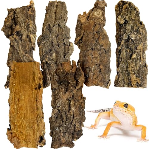 VCEPJH Cork Bark for Reptiles, 6 Pcs Natural Cork Flats for Terrarium Cork Wood Pieces for Snakes Spiders Bearded Dragons Hermit Crabs Geckos - color: 6 Pcs Reptile Bark Bedding