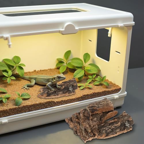 NUOBESTY 10pcs Cork Bark for Reptiles Natural Tree Bark Decor Lizard Climbing Platform Turtle Basking Terrarium Decorations