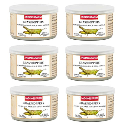 6 Pack Canned Grasshoppers for Reptiles, Fish, Birds and Small Animals, Grasshoppers, Healthy High Protein Treat, Bearded Dragon Food 7.2 Ounces Total