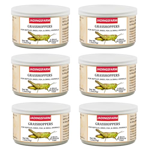 6 Pack Canned Grasshoppers for Reptiles, Fish, Birds and Small Animals, Grasshoppers, Healthy High Protein Treat, Bearded Dragon Food 7.2 Ounces Total