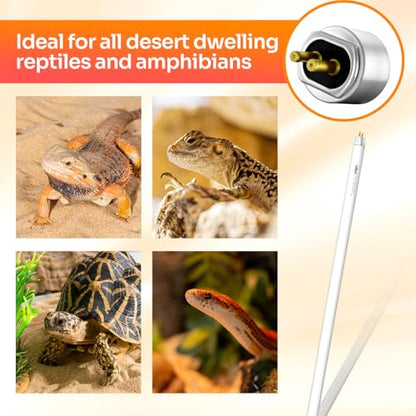 T5 HO 10.0 UVB Lamp Bulb 22" L 24 Watts, Reptile UVB Lamp Tube for Bearded Dragon - size: 22 inches