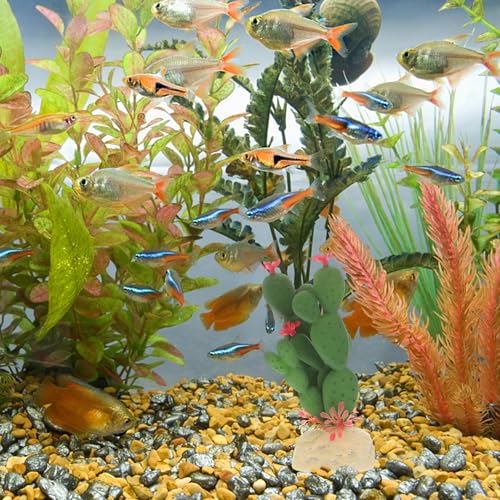 PRETYZOOM Aquarium Plants Ornament Lifelike Artificial Cactus Simulation Plant Decoration Plastic Fish Tank Decor for Home and Reptile Terrarium