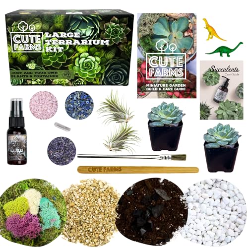 Cute Farms Terrarium Starter Kit | Moss, Vermiculite, Soil, Pebbles, Plant Food, & Finishing Tools (Large Kit + Live Plants + Crystals) - size: Large Kit + Live Plants + Crystals