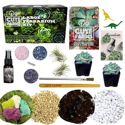 Cute Farms Terrarium Starter Kit | Moss, Vermiculite, Soil, Pebbles, Plant Food, & Finishing Tools (Large Kit + Live Plants + Crystals) - size: Large Kit + Live Plants + Crystals