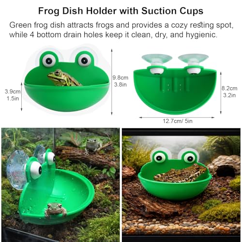 13Pcs Frogs Tank Accessories Set - Tree Frog Habitat Kit - Toad Terrarium Accessories with Hideout, Water Dish, Feeding Dish & Decorative Plants | Frog Tank Accessories for Tree Frog Terrarium