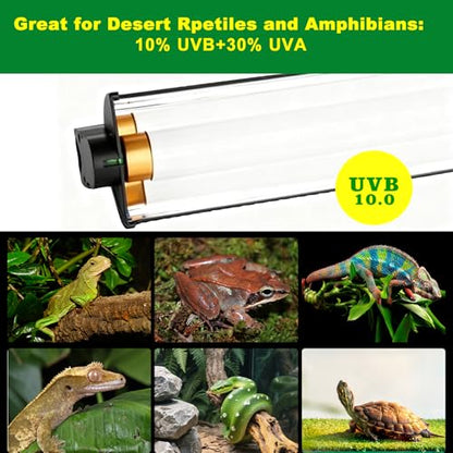 T5 HO UVB Lighting Kit, 8W Terrarium Hood with Detachable Curved Reflector, Desert 10.0 UVB T5 Lamp (24 Watts) - size: 24 Watts