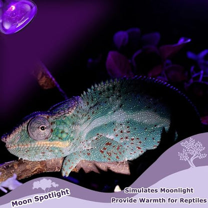 75W Reptile Night Light Bulb – Purple Basking Spot Lamp with Simulated Moonlight for Lizards, Chameleons, Snakes, Turtles, Amphibians – UVA Heat Light – 2 Pack | 3.2" - color: Purple, size: 75W - Gen1 - R63