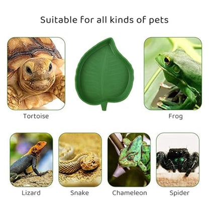 Leaf Shape Reptile Feeder Food Water Bowl for Turtle Lizards Hamsters Snakes Tortoise Gecko Small Pets Feeder Pet Supplies(Large) - size: Large