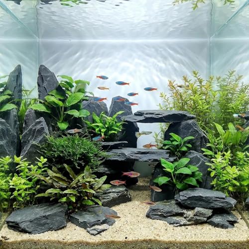 Aquarium Rock Natural Slate Rocks 2 to 4 inch Aquariums Stone for Aquascaping,Terrariums,Reptile Enclosures,Paludariums, and Gardens-5lb - size: 5lb(2-6'')