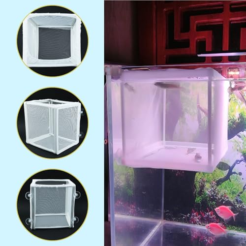 MY MIRONEY 6.3" x 5.63" x 6.22" Fish Incubator Mesh Box Aquarium Breeder Box White Nylon Mesh Juvenile Fish Separation Net Fry Hatchery with Suction Cups Pack of 2 - style: 6.3" x 5.63" x 6.22"; White; without Divider