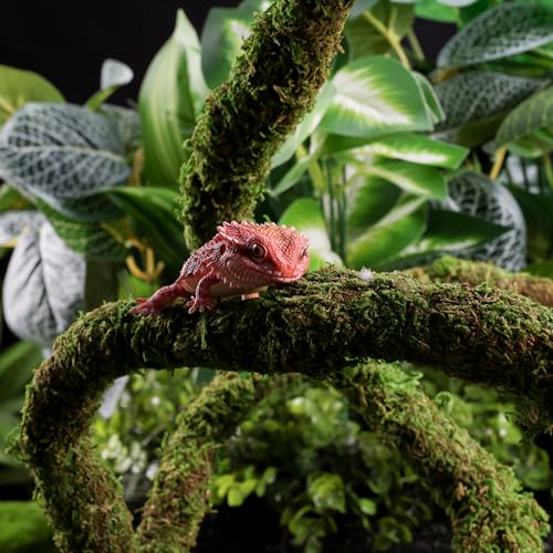 USMOLA Moss Vine for Reptiles, Bendable Climbing Vines Reptile Tank Accessories, Natural Moss Rope for Leopard Gecko, Lizard, Snake, Chameleon, Frog Terrarium Decor (Jungle Green, 6.5 FT) - size: 6.5 FT