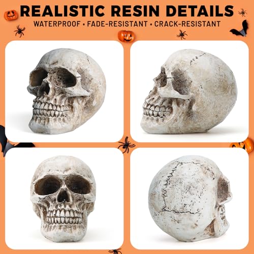 Skull Decor, Resin Realistic Skeleton Head Statue for Halloween, Fake Human Bone Skull Model for Halloween Decoration, Home, Party, Table, Bookshelf